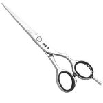 JAGUAR CJ4 plus5.5 SILVER LINE