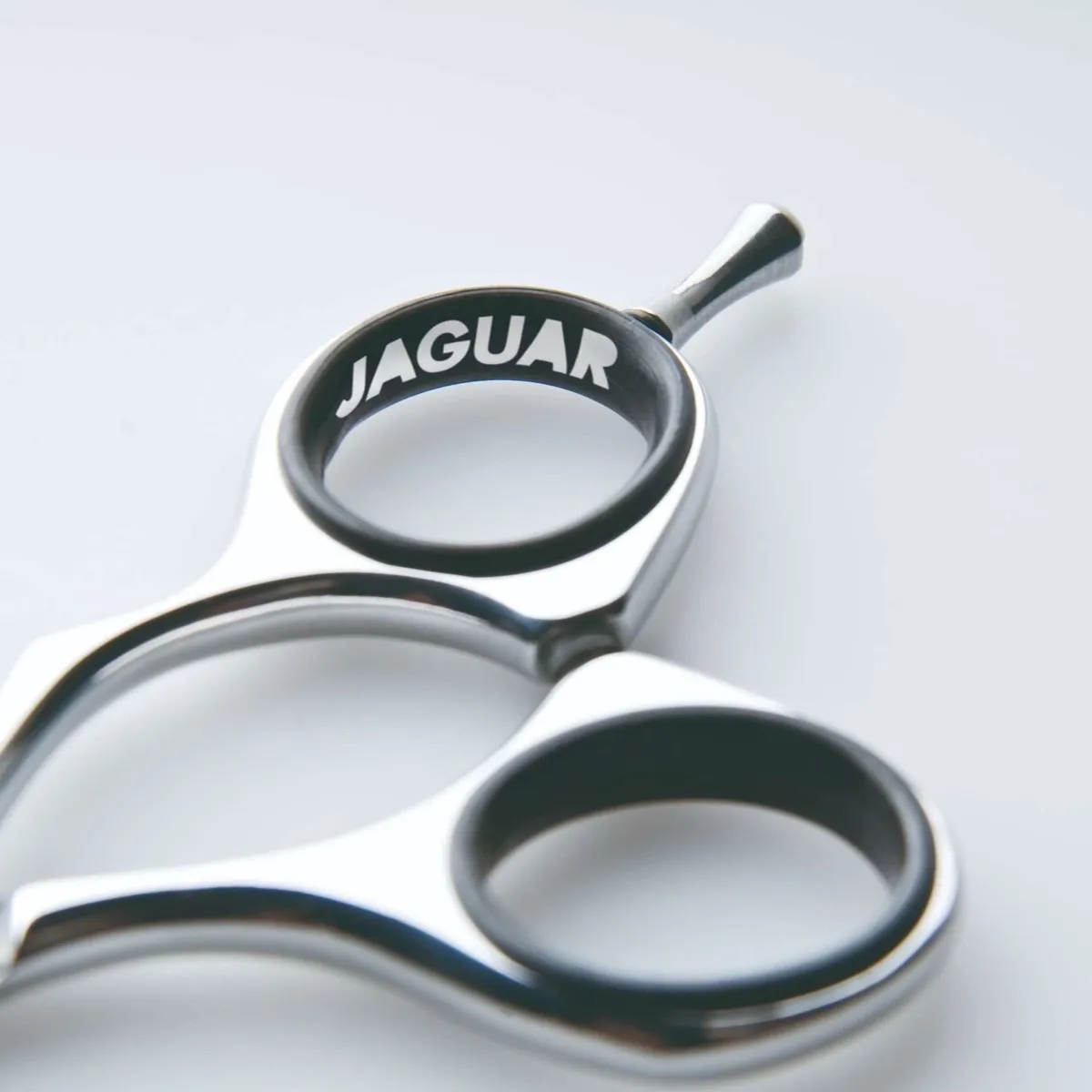 JAGUAR CJ4 plus5.5 SILVER LINE - Image 3