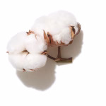 WELLA VOLUME BOOST INVIGO SHAMPOO 300ml - Image 2