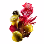 LOREAL VITAMINO COLOR SPECTRUM SET ΔΩΡΟΥ - Image 3