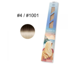 Τούφες Seiseta Hair Extension Tape-In 50/55cm #4/1001 Ombre 6τεμ. 15gr